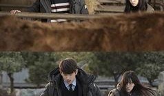 雪丝在线观看,浪漫冬日，共赴冰雪之约