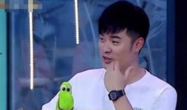 哈妮克孜爆料陈赫视频,揭秘娱乐圈背后故事